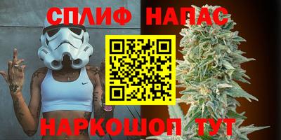 шишки Обнинск