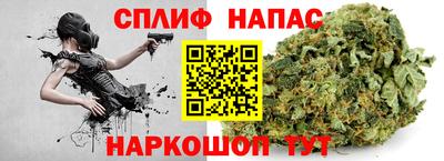 шишки Обнинск